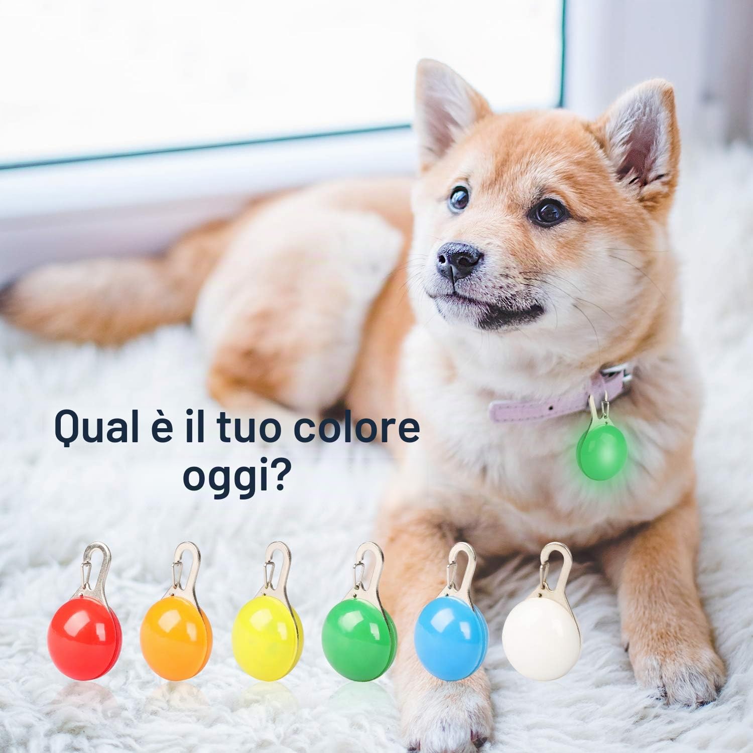 Confezione da 6 portachiavi lampeggianti a LED per cani e gatti, 3 modalità lampeggianti (6 batterie di ricambio)