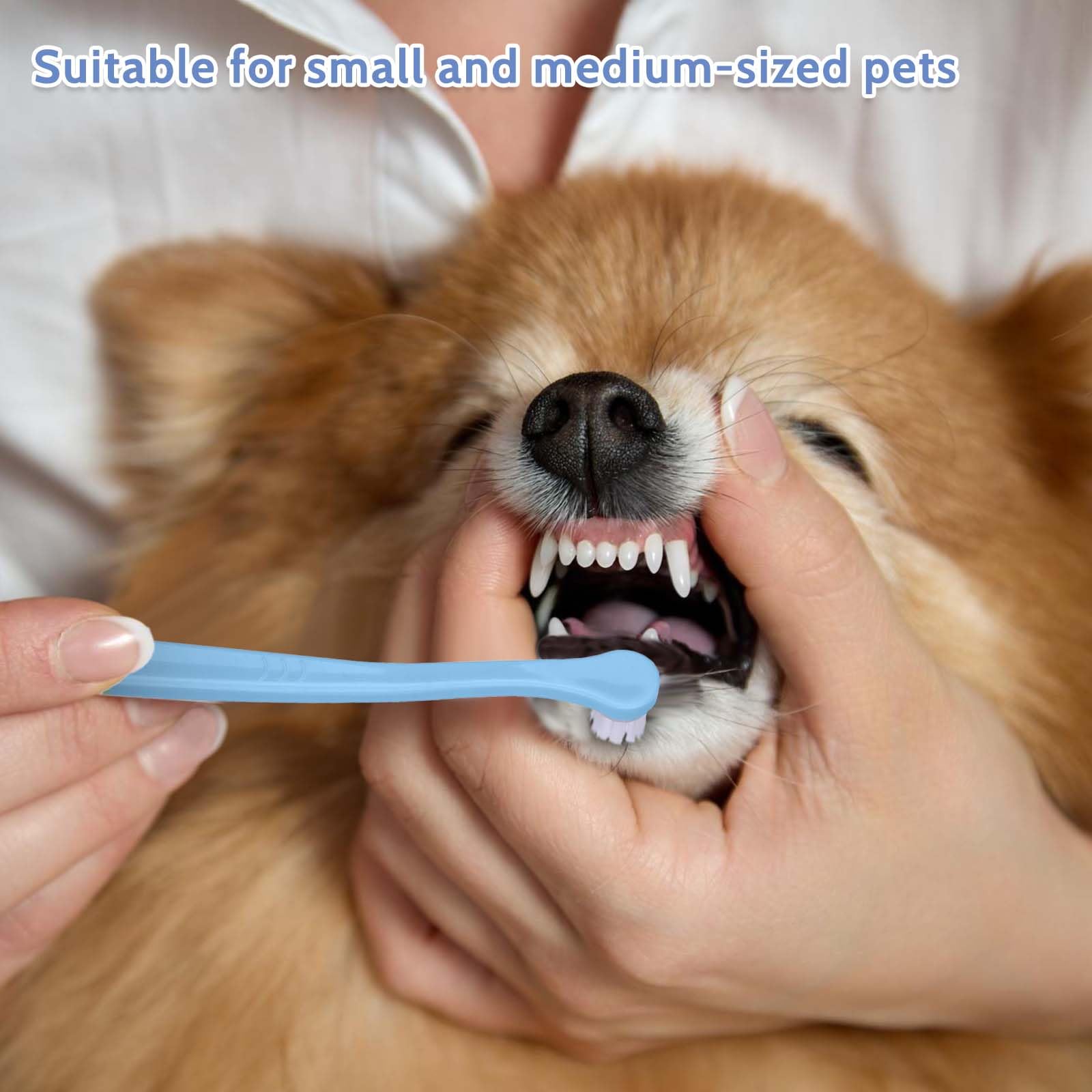 Lot de 2 brosses à dents pour chat, brosse à dents pour animaux de compagnie, brosse à dents pour chiot, mini tête douce pour chien, kit de nettoyage en profondeur pour chiots, chatons, chiens