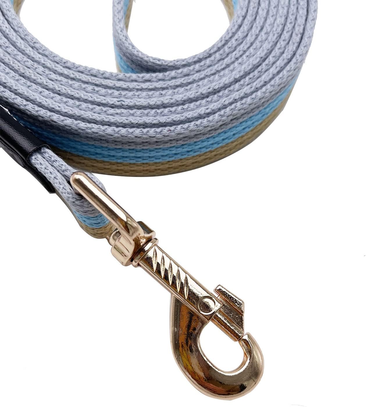 Soft Cotton Web Dog Leash Basic Training Walking Lead, 10FT Long, 3/4 Inch Wide Blue