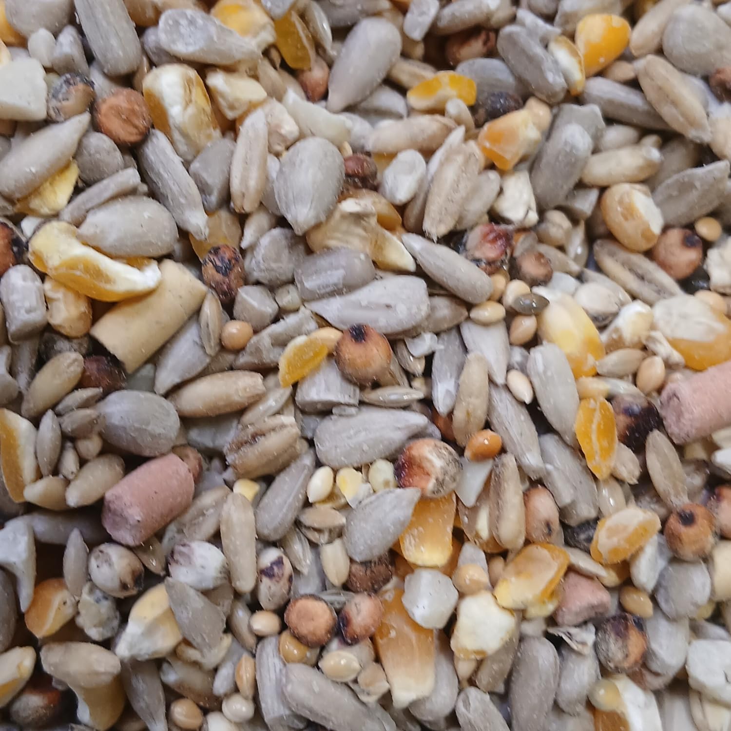 2 Kg Johnston & Jeff Premium Wild Bird Seed Wheat Free with Suet High Energy Mix for Garden Birds with Sunflower Hearts Peanuts Insects Berry Pellets for All Seasons Feeding
