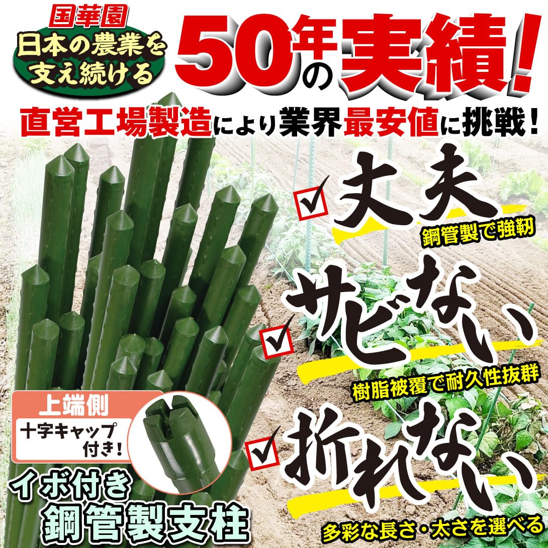 オリジナル 園芸用 イボ付き 鋼管 支柱 100本入り 11mm×150cm Amazon | 国華園 支柱 直径11mm 長さ150cm 100本 イボ付 鋼管製 錆び