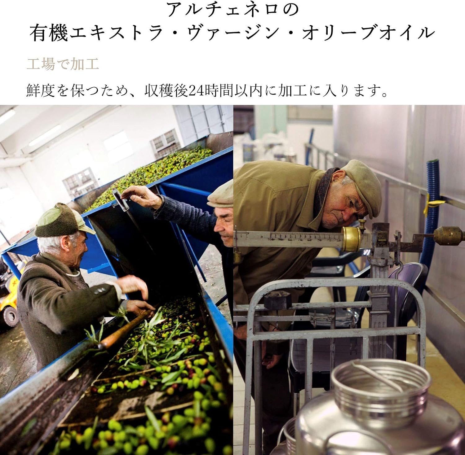 低価格化 Alce Nero アルチェネロ イタリア産 有機エキストラバージンオリーブオイル ドルチェ 250ml 1本 Riosmauricio Com 低価格化 Alce Nero アルチェネロ イタリア産 有機エキストラバージンオリーブオイル ドルチェ 250ml 1本 Riosmauricio Com