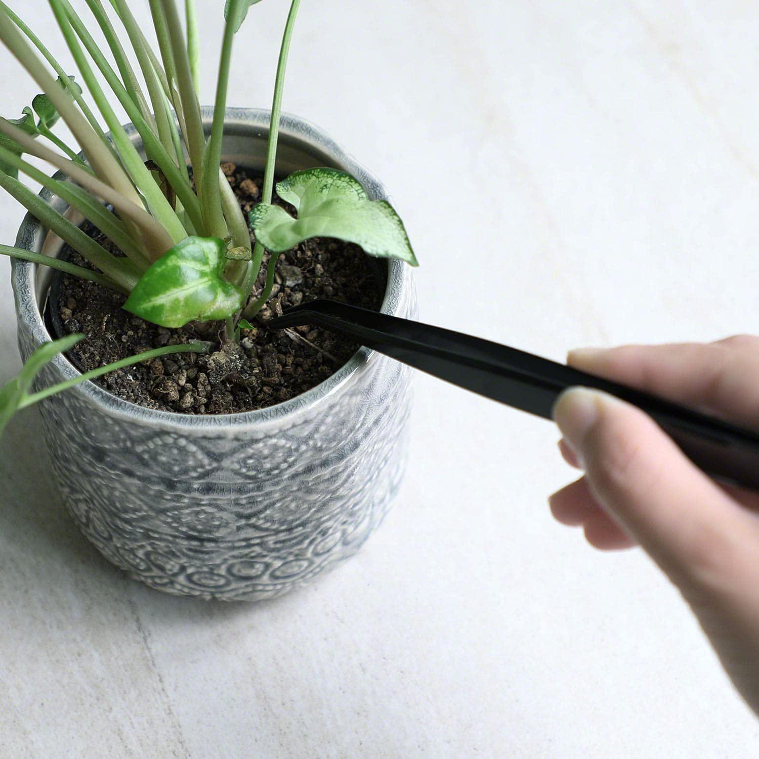 Wazakura Pince Courbée avec Spatule pour Bonsaï 220 mm, FABRIQUÉE AU JAPON, Outil Japonais pour le Soin Quotidien, le Désherbage et l'Élimination des Feuilles, Acier Inoxydable, Revêtement noir
