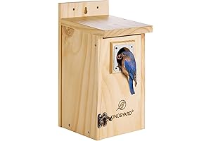 Kingsyard Blue Bird House for Outdoors