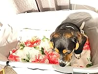 Review Image by Natalya Natalya