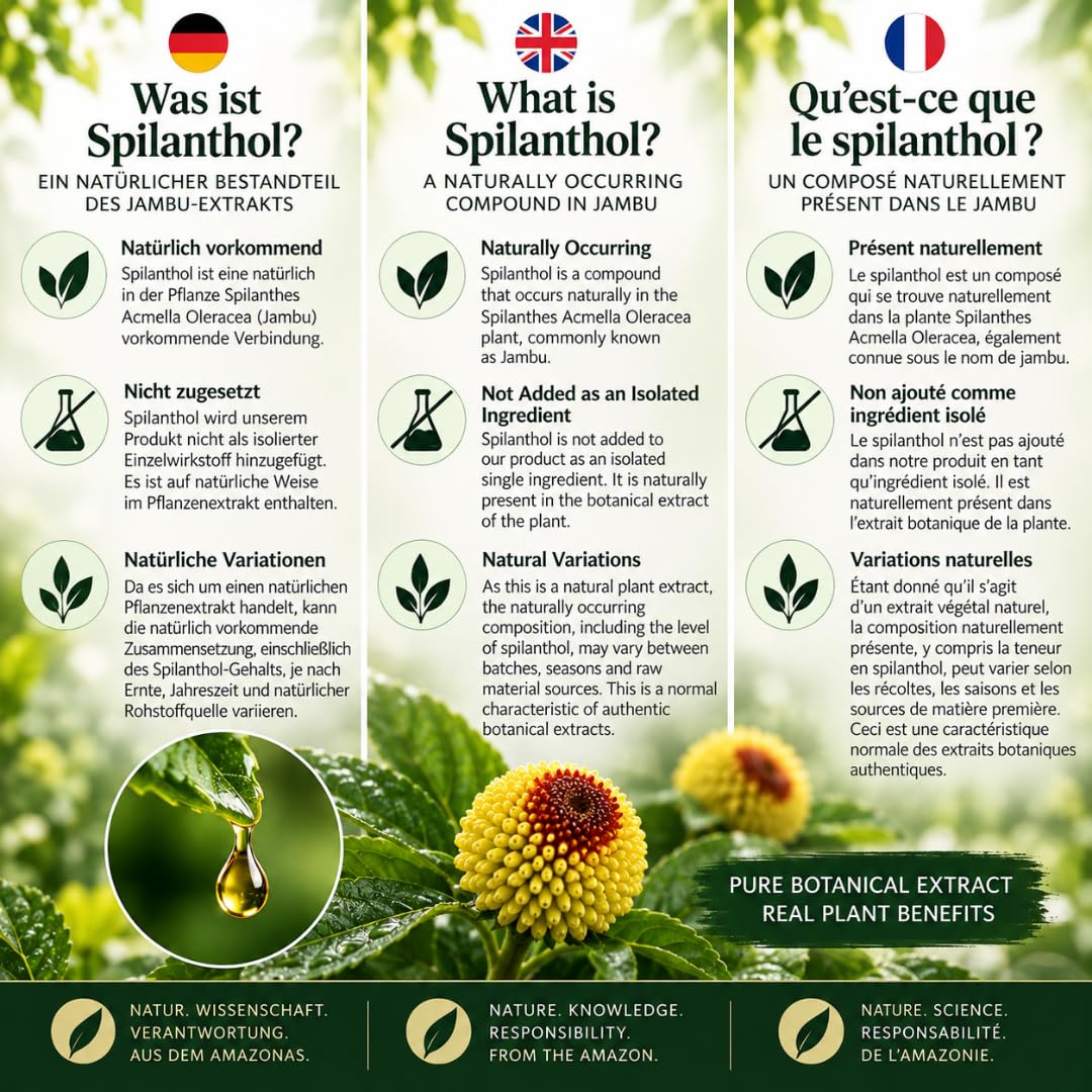 Nativilis Jambu Spilanthol Amazonian Bioactive Oil – Spilanthes Acmella Oleracea Extrakt – Botanischer Extrakt – 30 ml