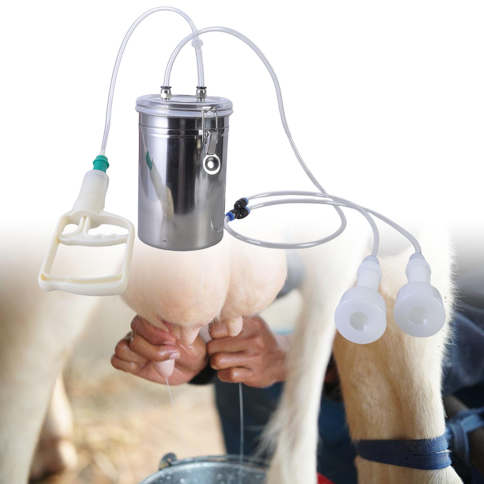 Operazioni semplici della mungitrice manuale dell'acciaio inossidabile che munge dispositivo per l'attrezzatura agricola di produzione del latte della piccola scala