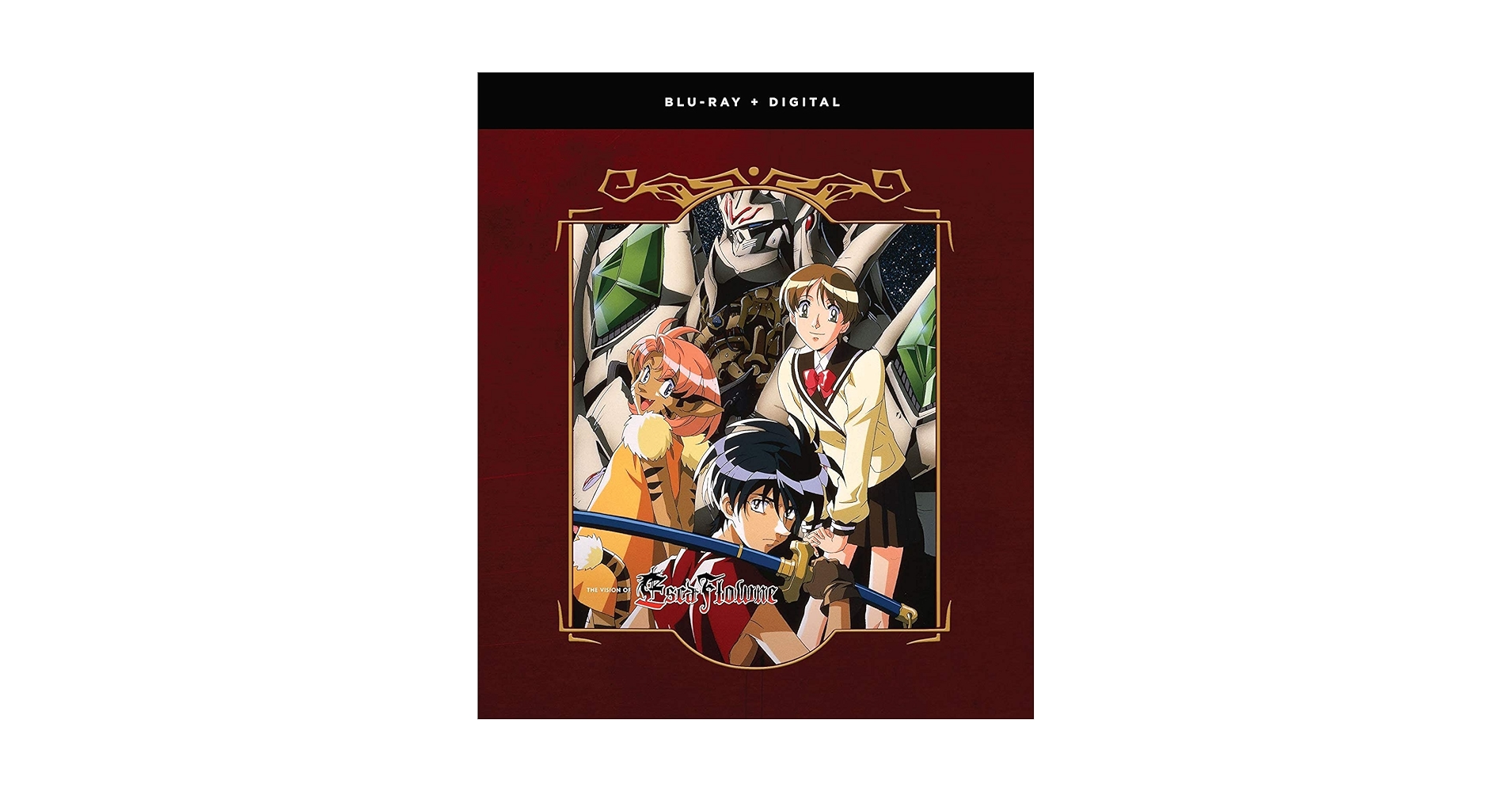 未開封 天空のエスカフローネ THE VISION OF ESCAFLOWNE 71wYonpoP1L.jpg_BO30,255,255,