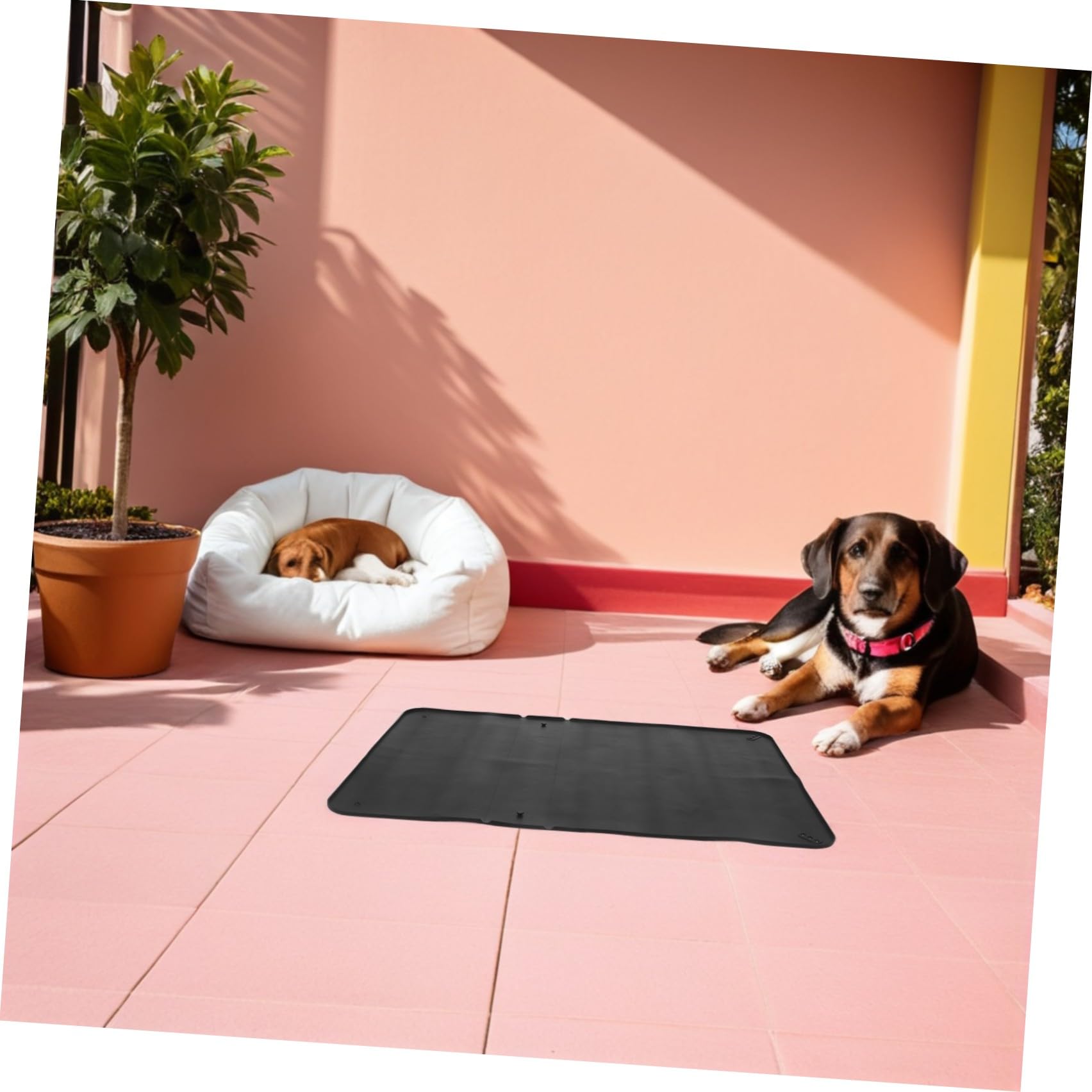 Outanaya Porta Traversine Tappetino Igienico Flessibile e Compatto Nero in Silicone per Addestramento Cani per Area Animali e Casa