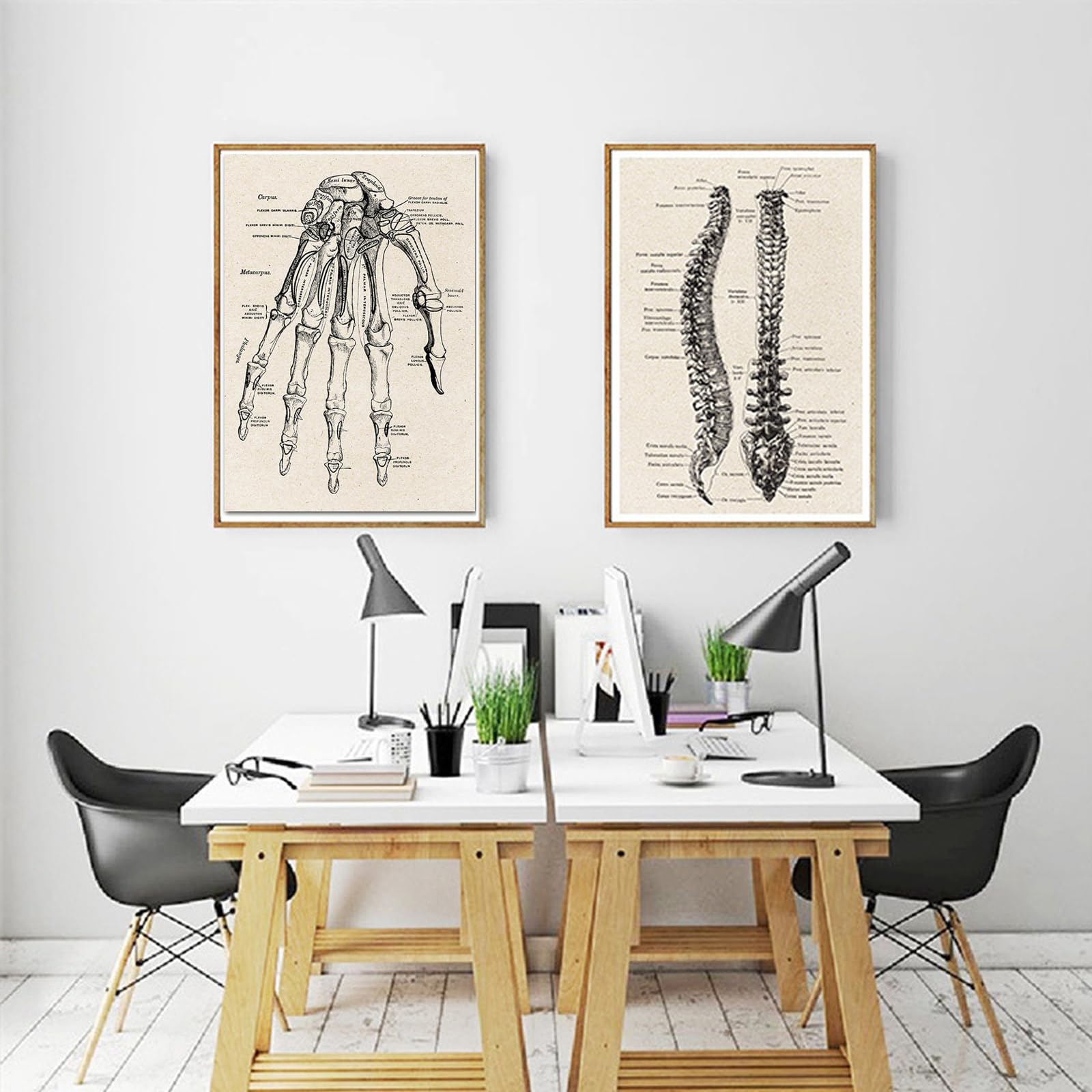 Poster Di Anatomia Artistica Heilkee – Set Di 4 Stampe Boho Beige Con Colonna Vertebrale E Bacino – Decorazione Da Parete Minimal Per Ufficio Medico O Soggiorno - 5
