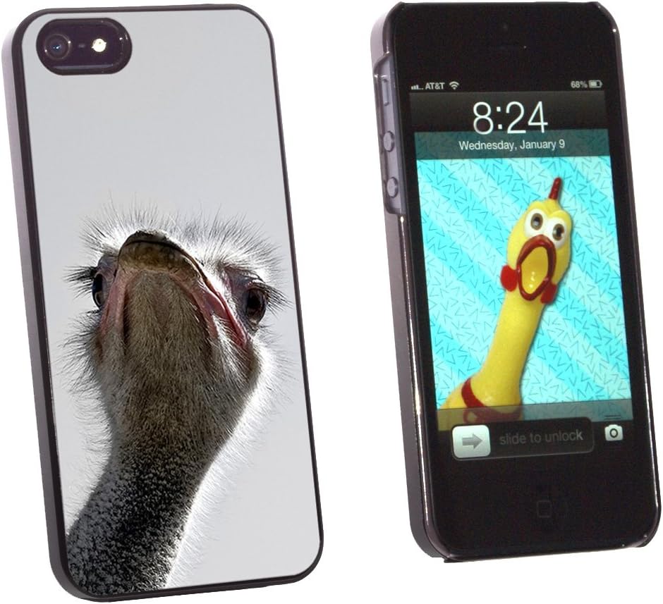 Graphics and More Ostrich Bird - Funny - Snap-On Hard Protective Case for Apple iPhone 5/5s - Non-Retail Packaging - Black