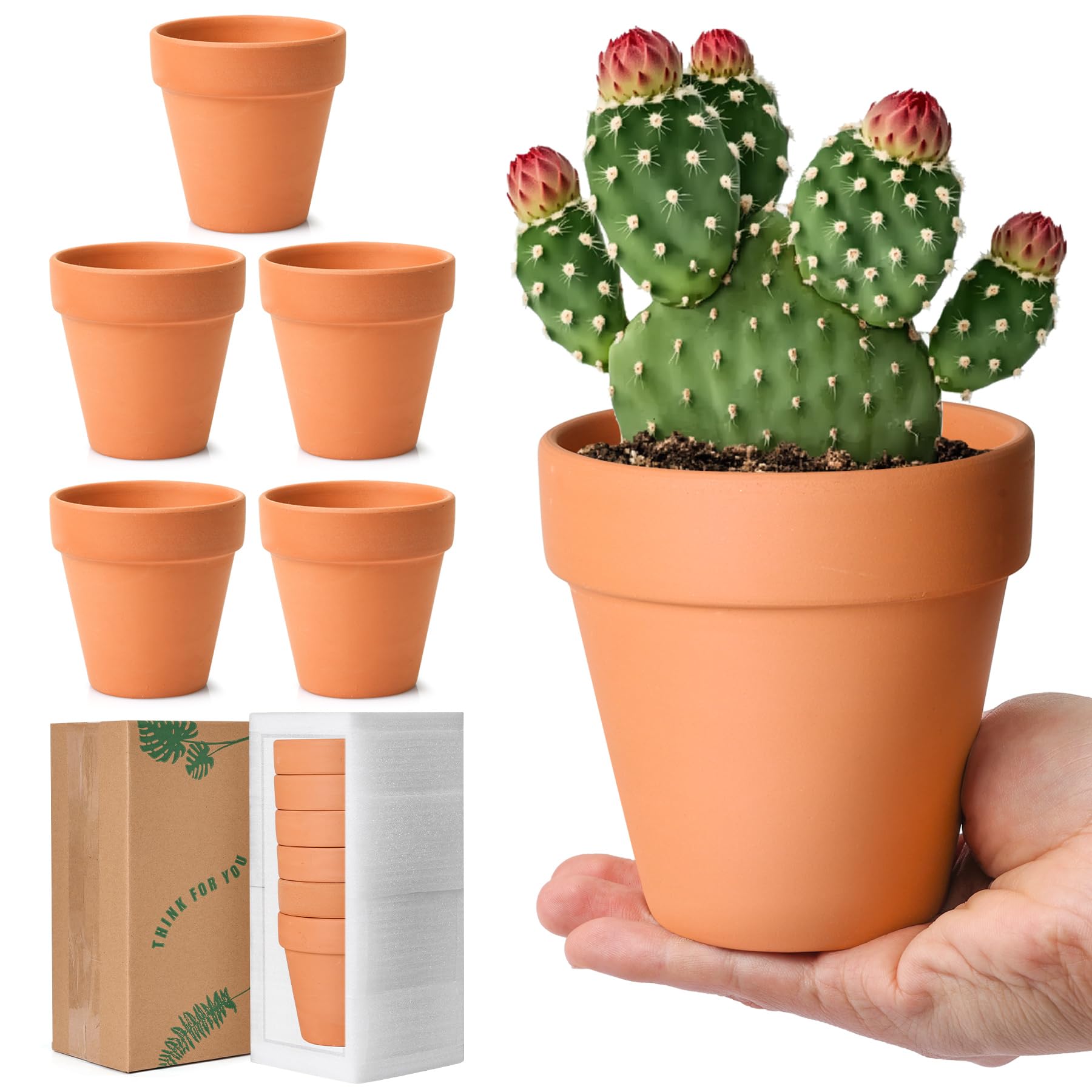 26 Terrakotta-Blumentöpfe Im Set - 10,2 Cm Tontöpfe Mit Ablaufloch Für Kakteen & Sukkulenten