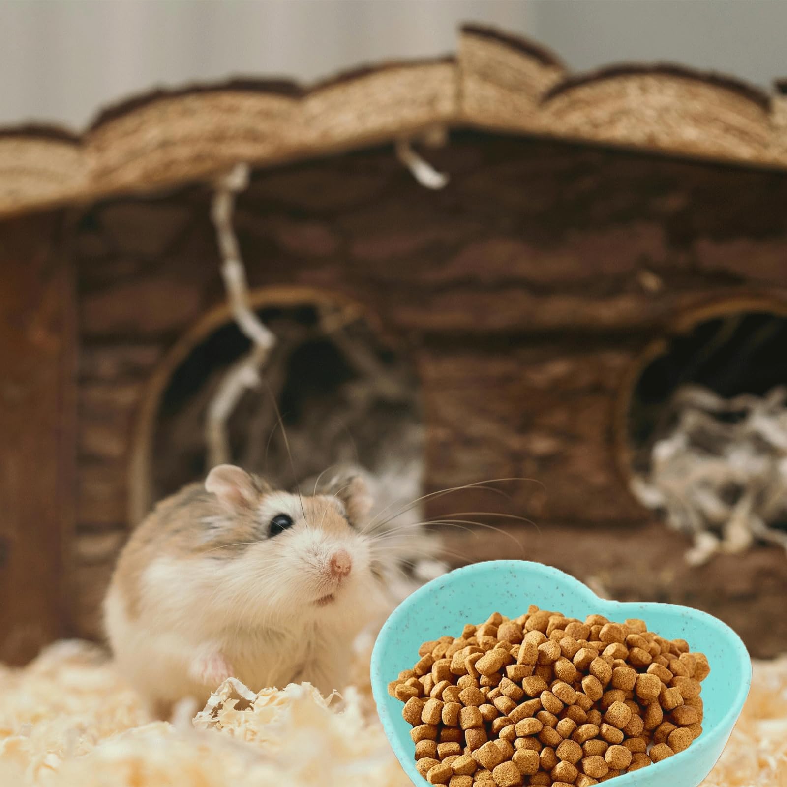 6PCS Hamster Food Dishes, Plastic Heart Shaped Food Bowl for Pet, Cute Water Dish for Rabbit Hedgehog Gerbil Rat Rodent Small Animals