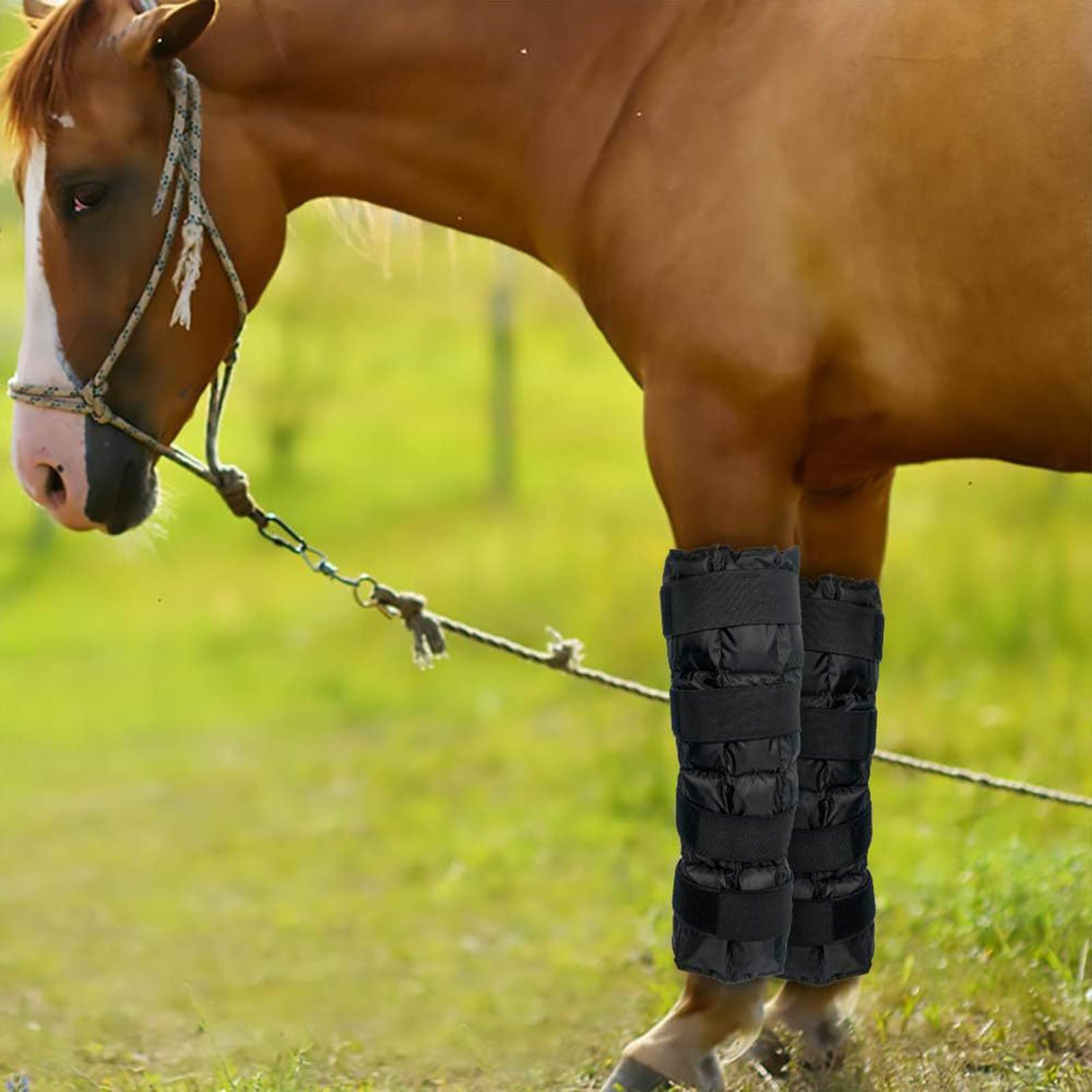 Pferdebeinbandagen, Eisbeinstiefel für Reittraining und den täglichen Gebrauch, bequeme Unterstützung für die Erholung von Verletzungen, passend für alle Pferde