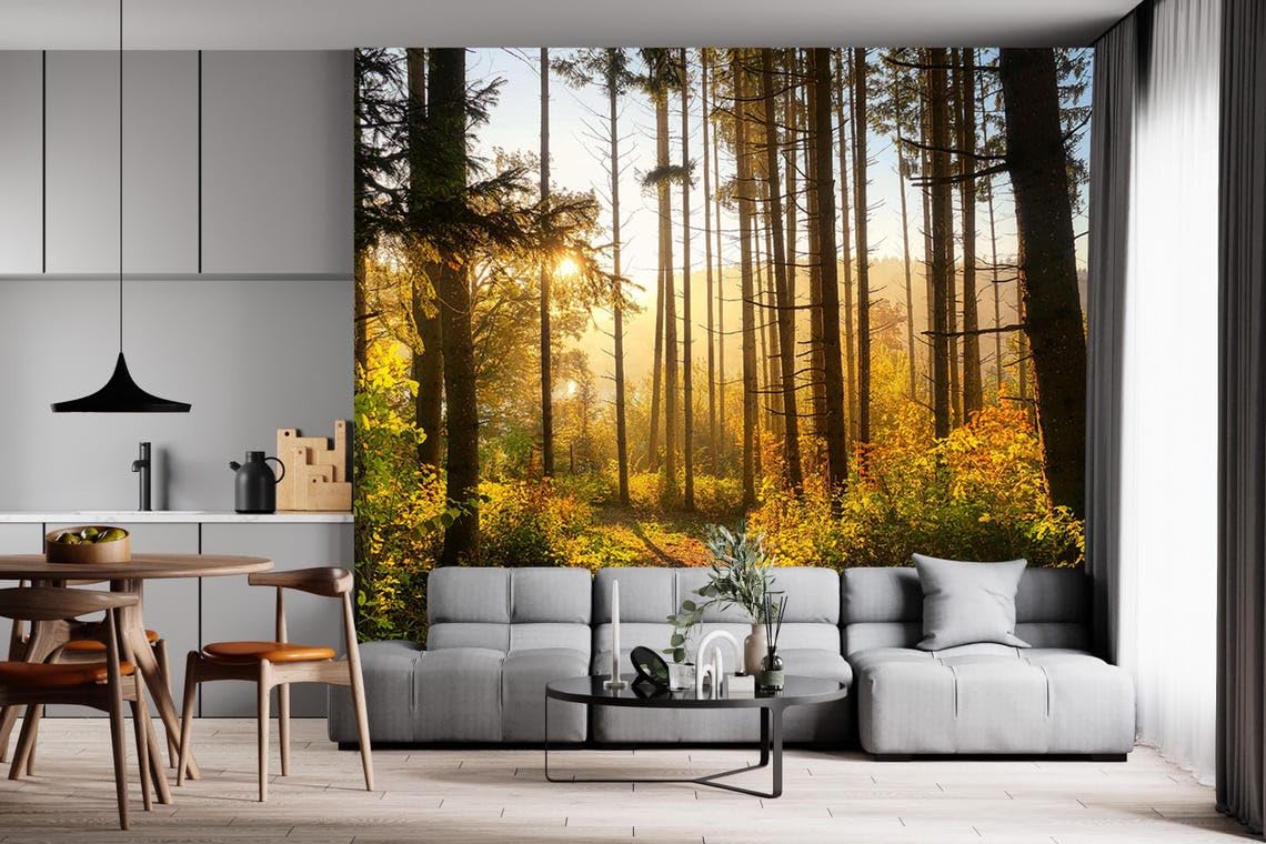 View 6