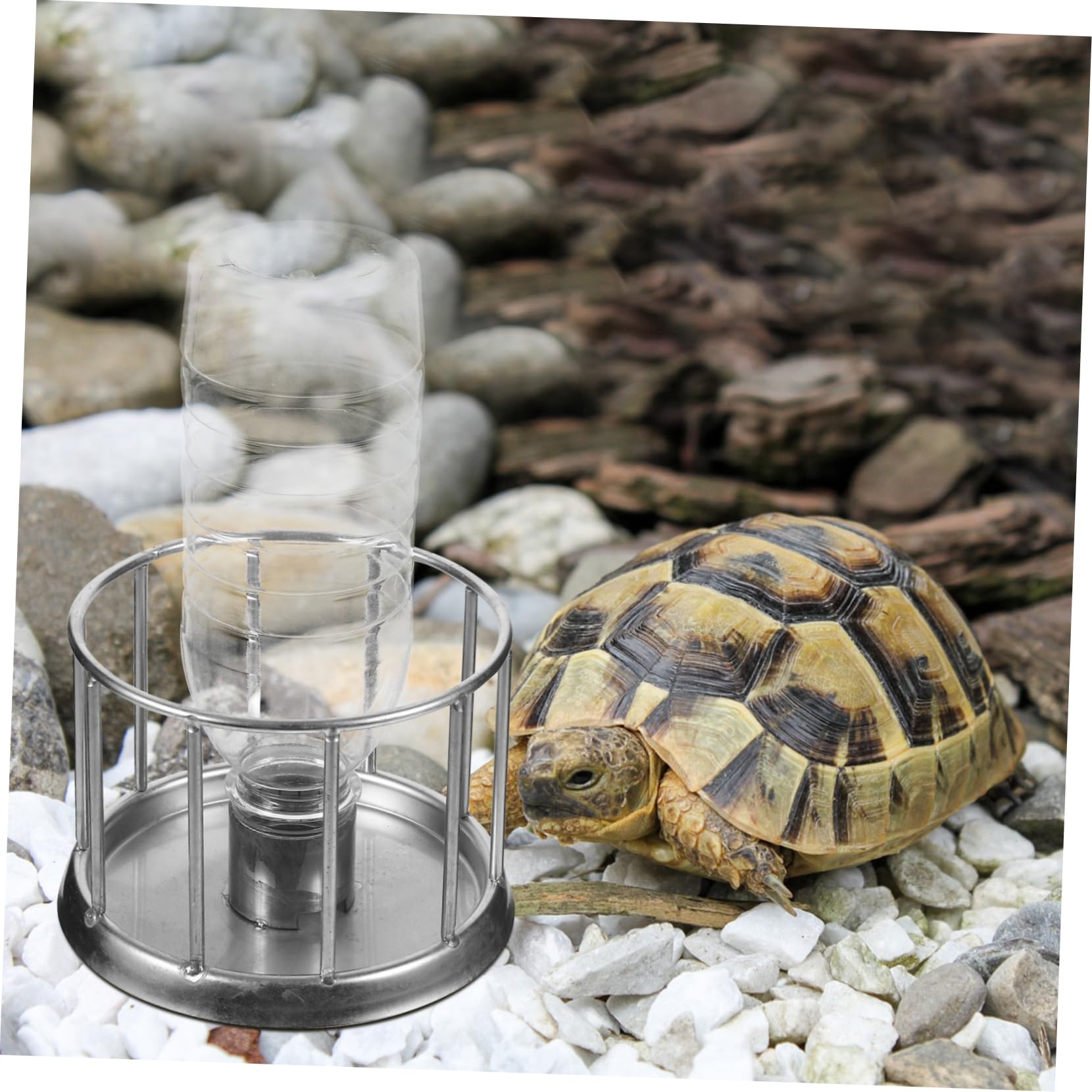 Kisangel 4piezas Bebedero Inoxidable para Reptiles Dispensador De Agua Mini para Tortugas y Plato Antisalpicaduras Accesorio Práctico y para Terrario