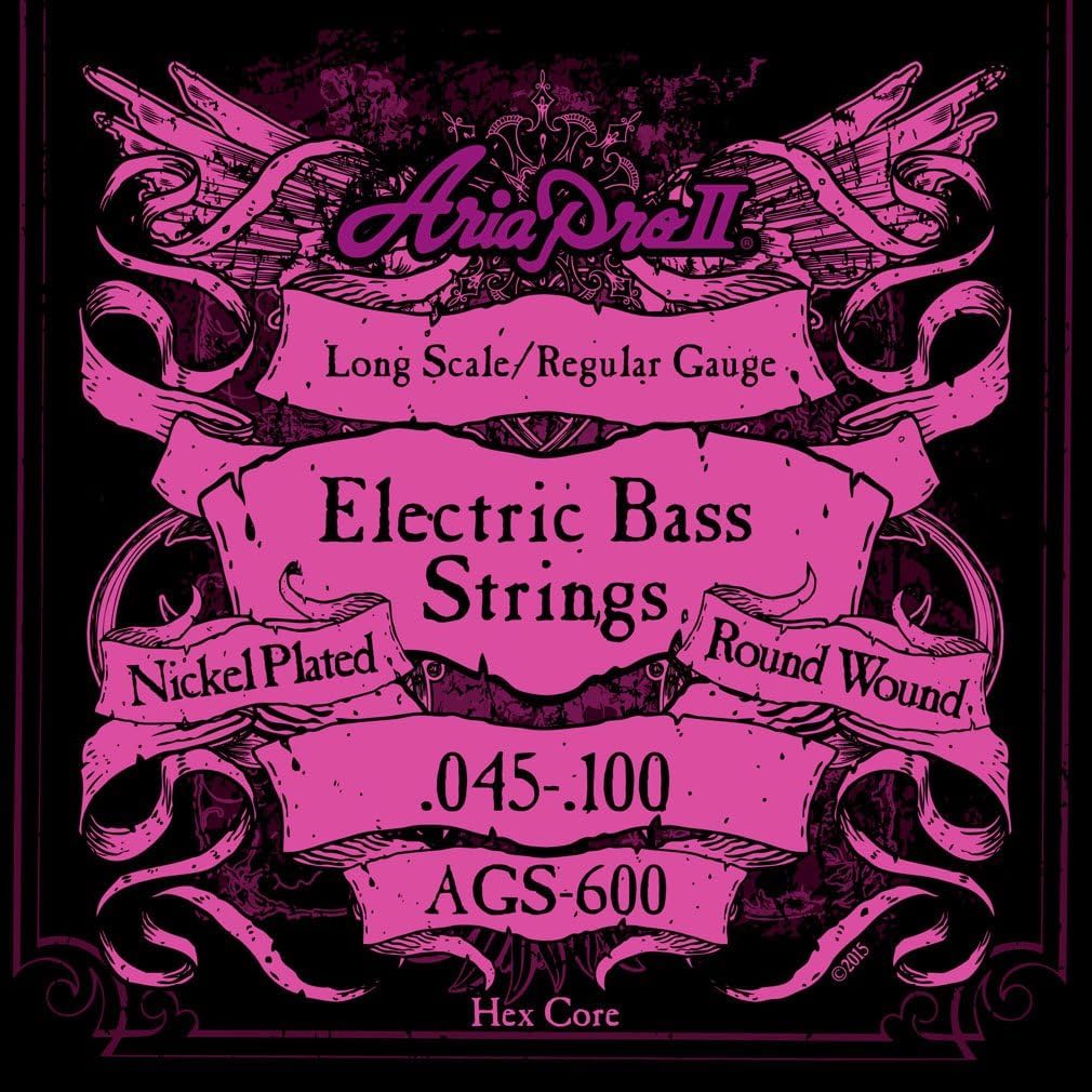 STRINGS UNDER ELECTRIC SET ARIA PRO II 045-100 AGS-600, metallic silver