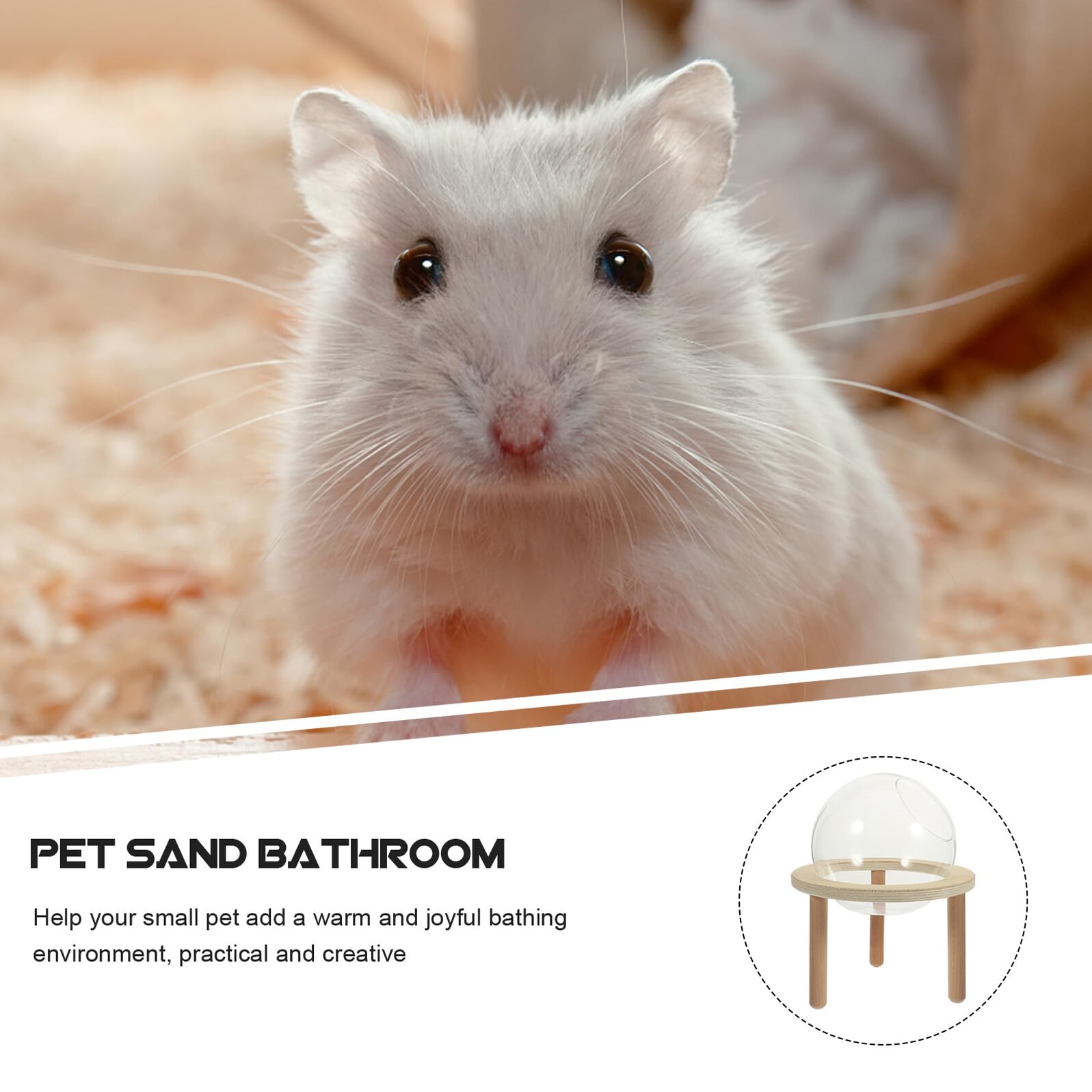 GARVALON Transparente Hamsterbadewanne mit Verschleißfestem Sandbad