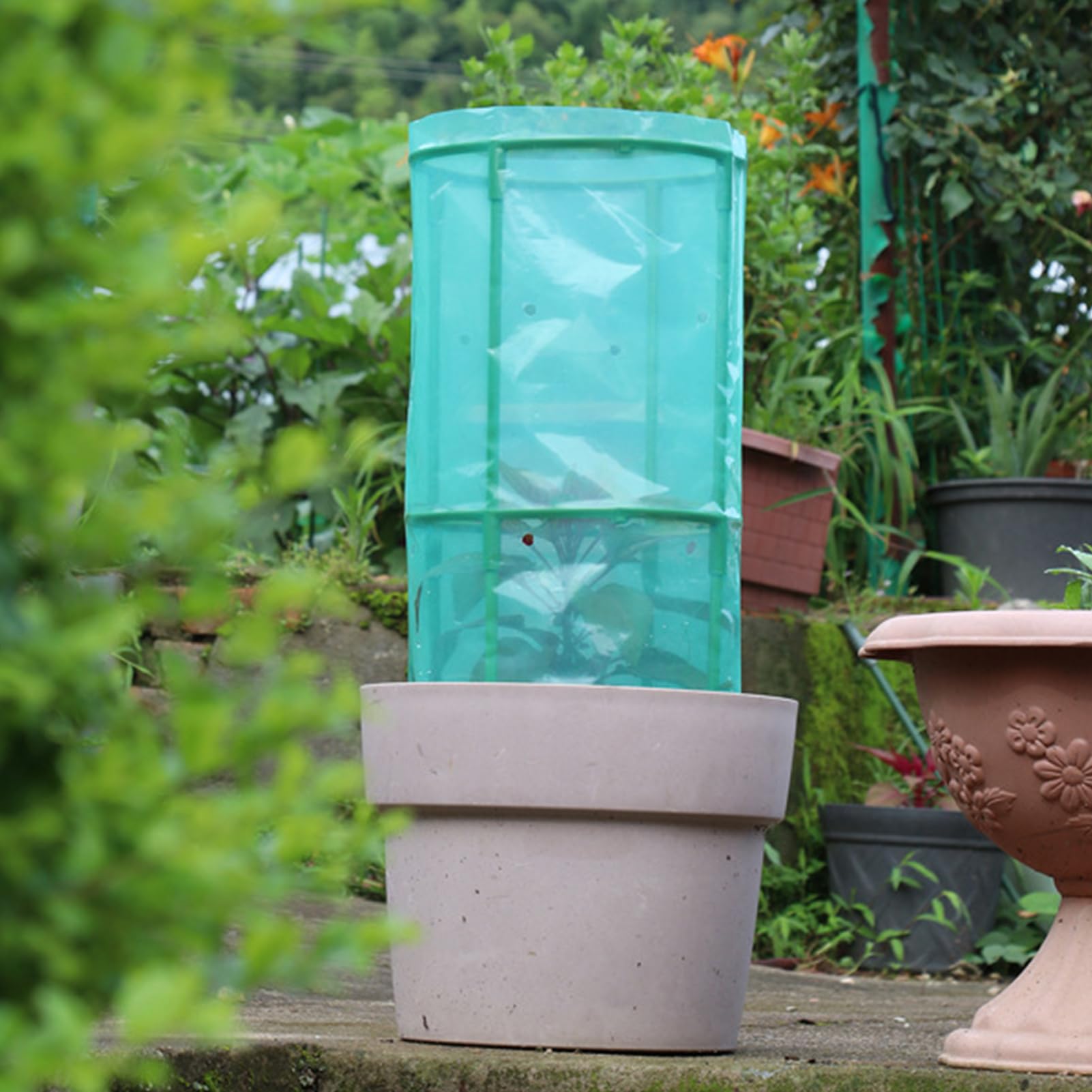 Pflanzenschutzglocke Für Garten,Schutzgitter Für Jungpflanzen - Praktische Montage Gartenschutz Gitter Gartengeräte Für Gemüsebeete Gewächshaus