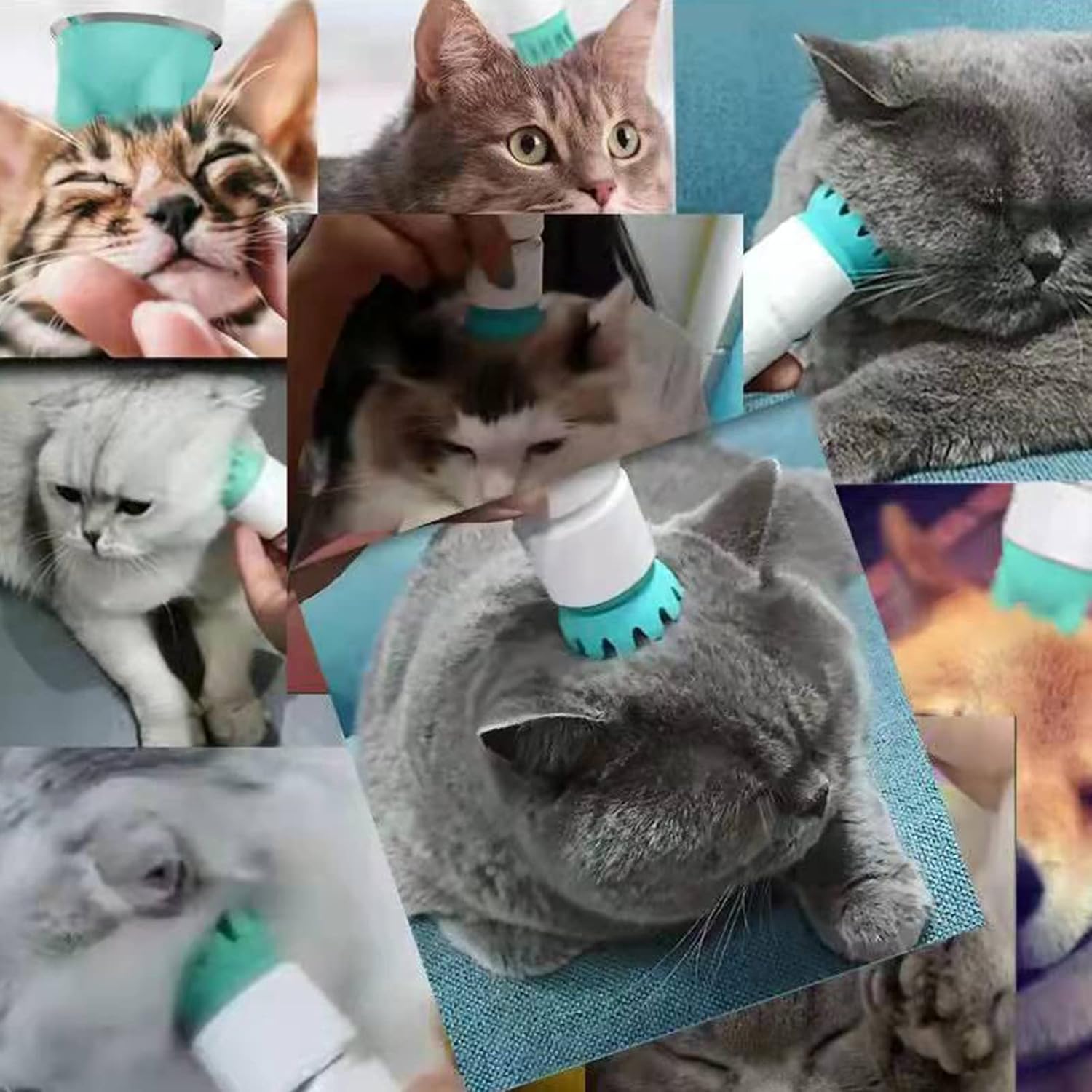 Pet Dog Cat Massager, Scalp Head Legs Full Body Stress Relax Electric Massager with 3 Modes and 5 Massage Grasp Heads, Muscles Mini Automatic Massager Equipped Power Display Waterproof : Health & Household