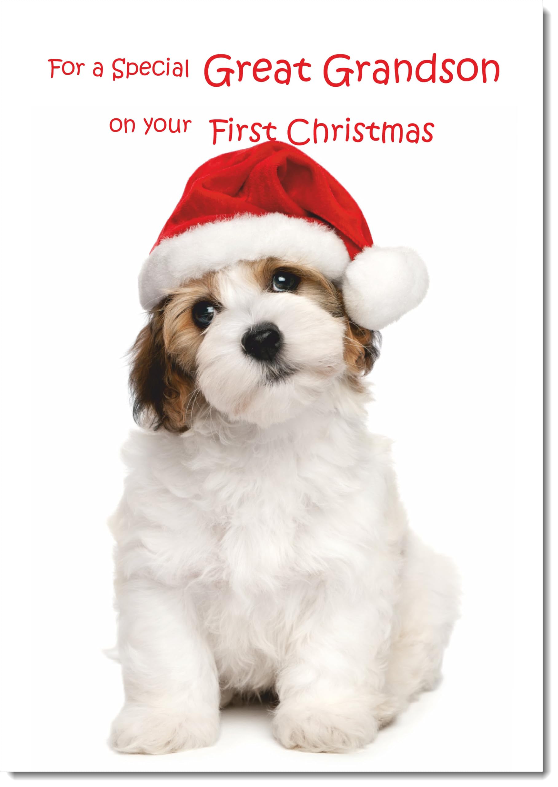 doodlecards Great Grandsons 1st First Christmas Card Dog and Santa Hat Large A4 Size Christmas Card for Great Grandsons 1st with Plain Envelope — image 1