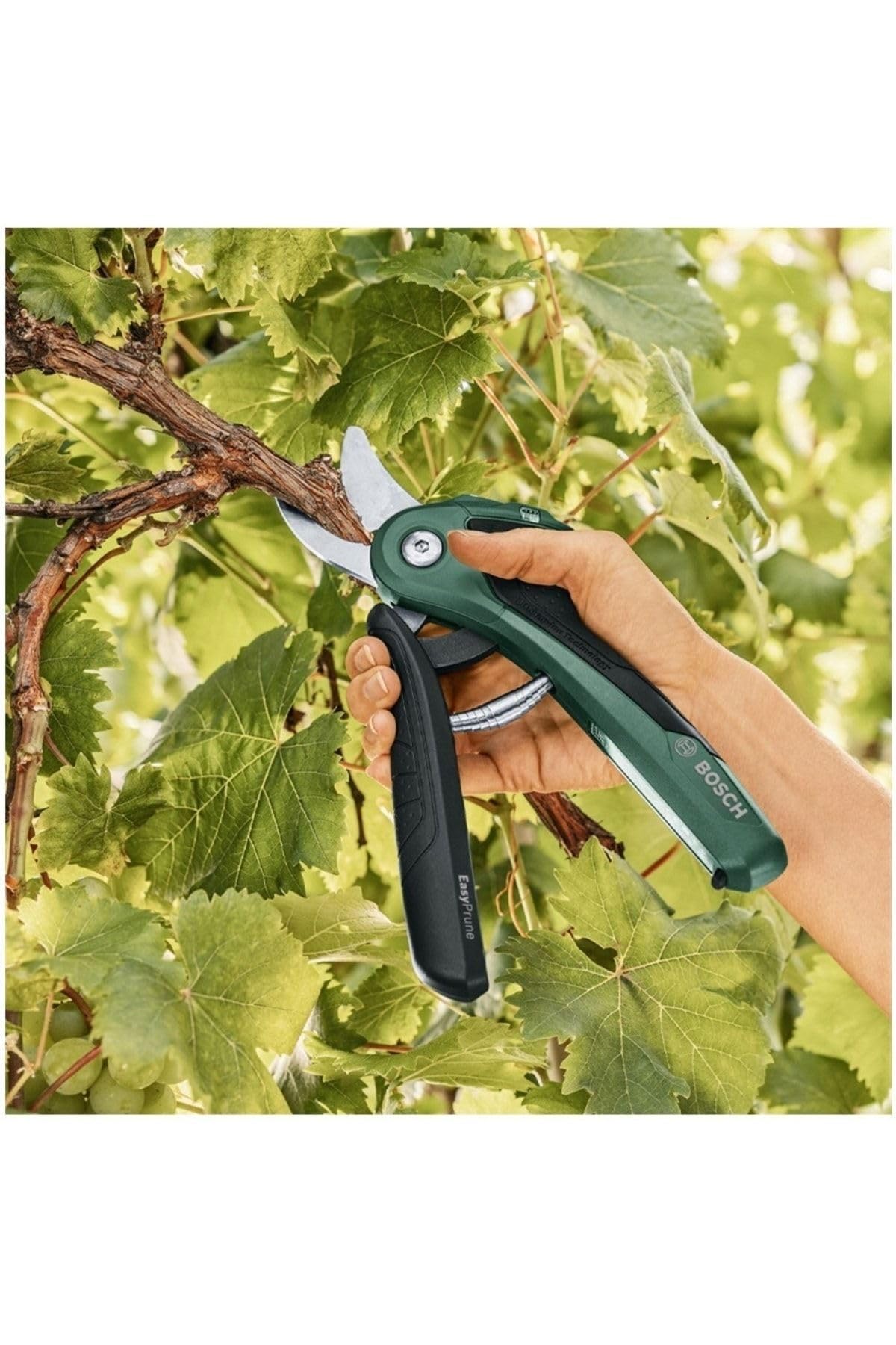 Bosch Home and Garden Sécateur de jardin sans fil - EasyPrune (livré dans un carton avec un chargeur, 450 coupes par charge de batterie, 3,6 V)