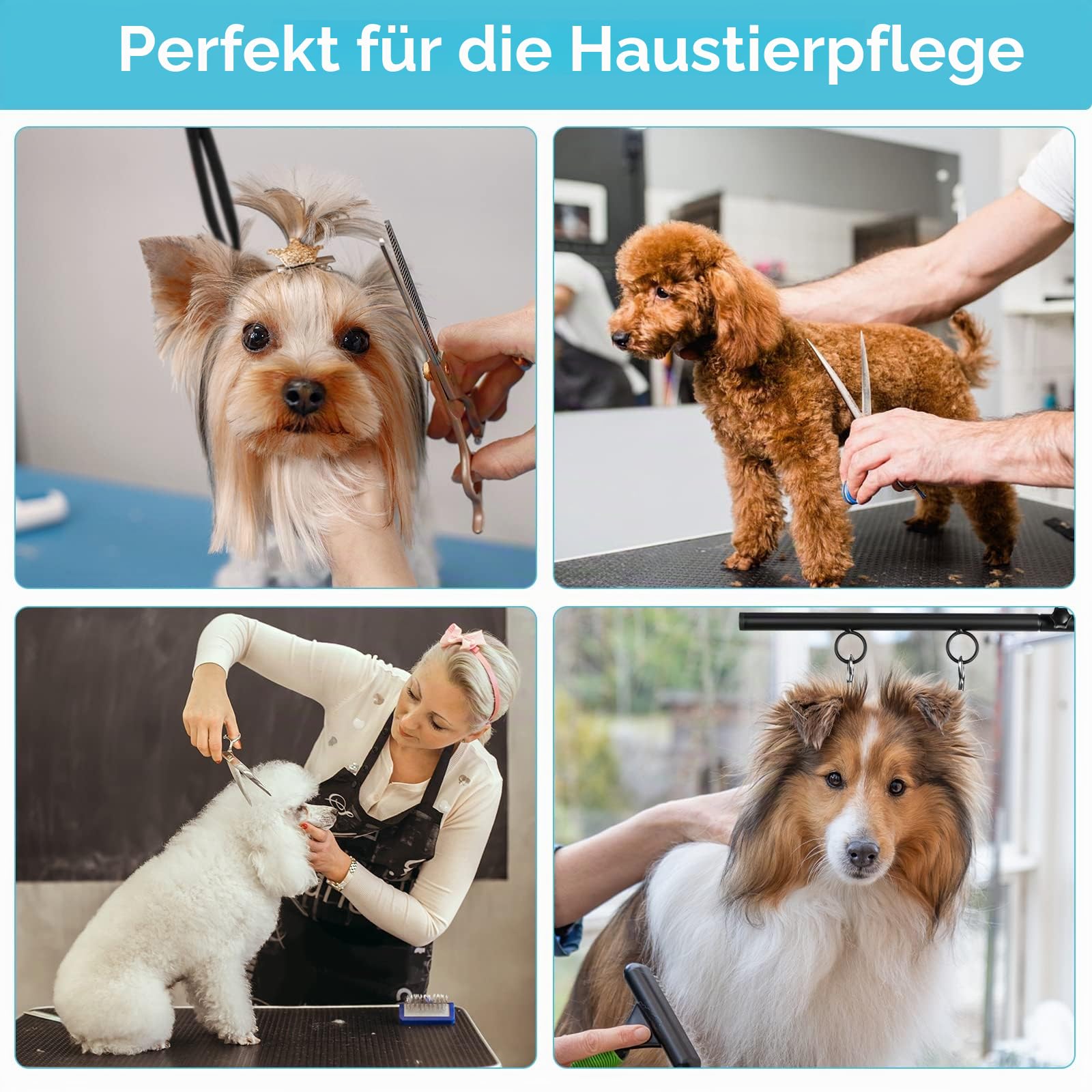 Hundepflegearm mit Doppelklemme - Höhenverstellbar (49-74 cm) Hundezubehör für Hunde - inkl. Schlaufe & Nicht Sitzenden Haunch-Halter - für Baden, Föhnen, Fellpflege & Krallenpflege bei Hunden | Hundepflege-Arm, Fellpflegeschlaufe und kein Sitz-Halter