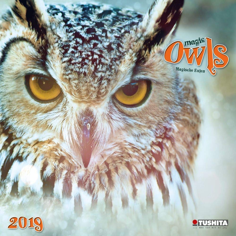 Magic Owls 2019 Wall Calendar