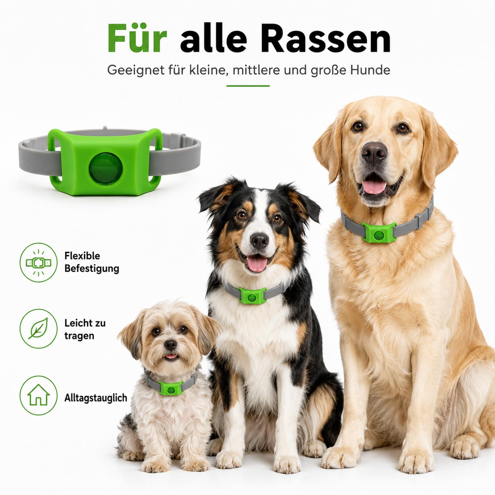 Hunde Anhänger fürs Halsband, Outdoor-Saison Begleiter für Wiesen, Wald & Garten, wasserabweisender Haustieranhänger, Hundezubehör für kleine, mittelgroße & große Hunde