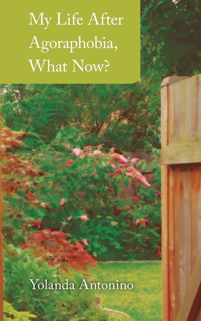 My Life After Agoraphobia, What Now?: Volume 1