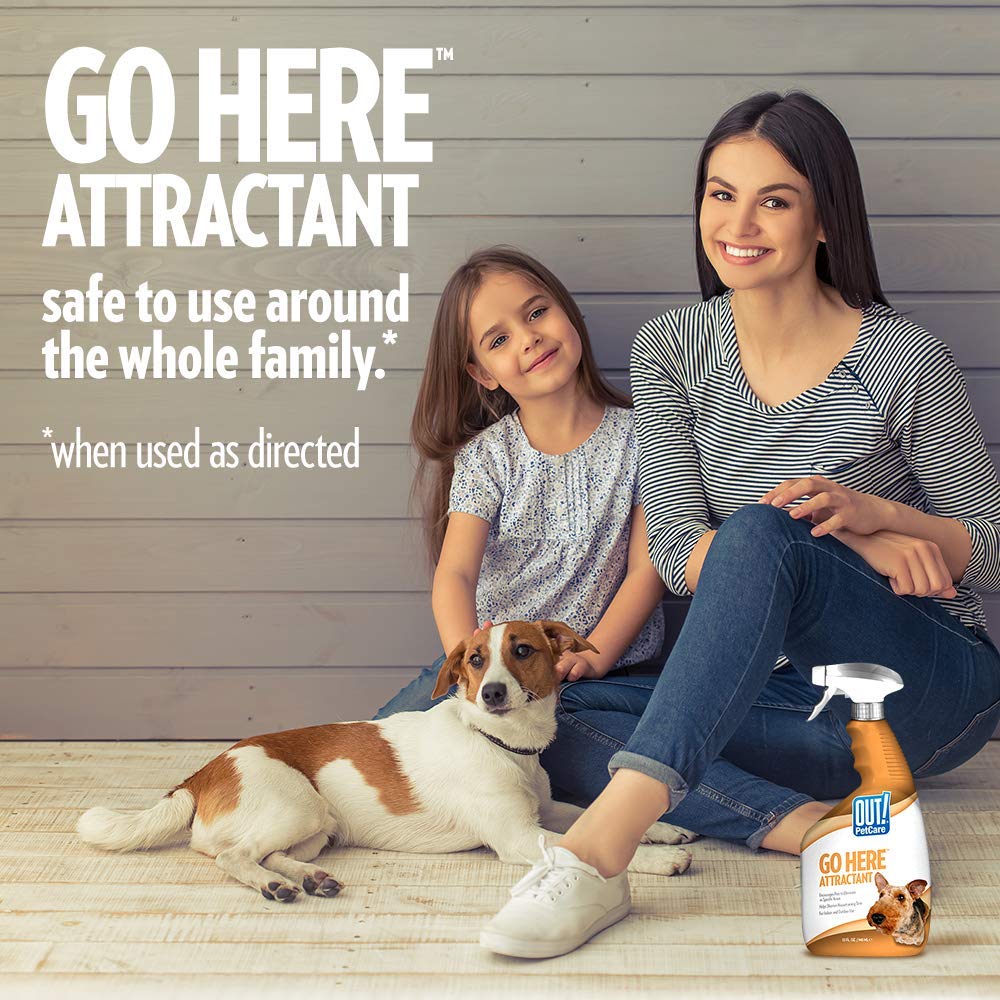 go here attractant