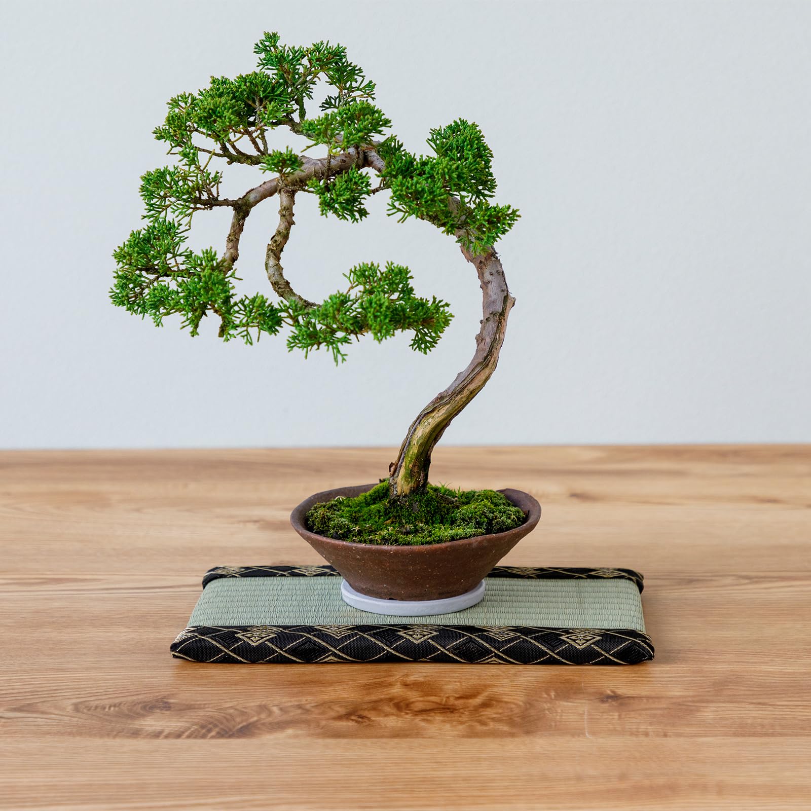 banzai.fujiyama様27cm Amazon.com: Asayu Mini Tatami mat Made of Real Igusa Rush Grass