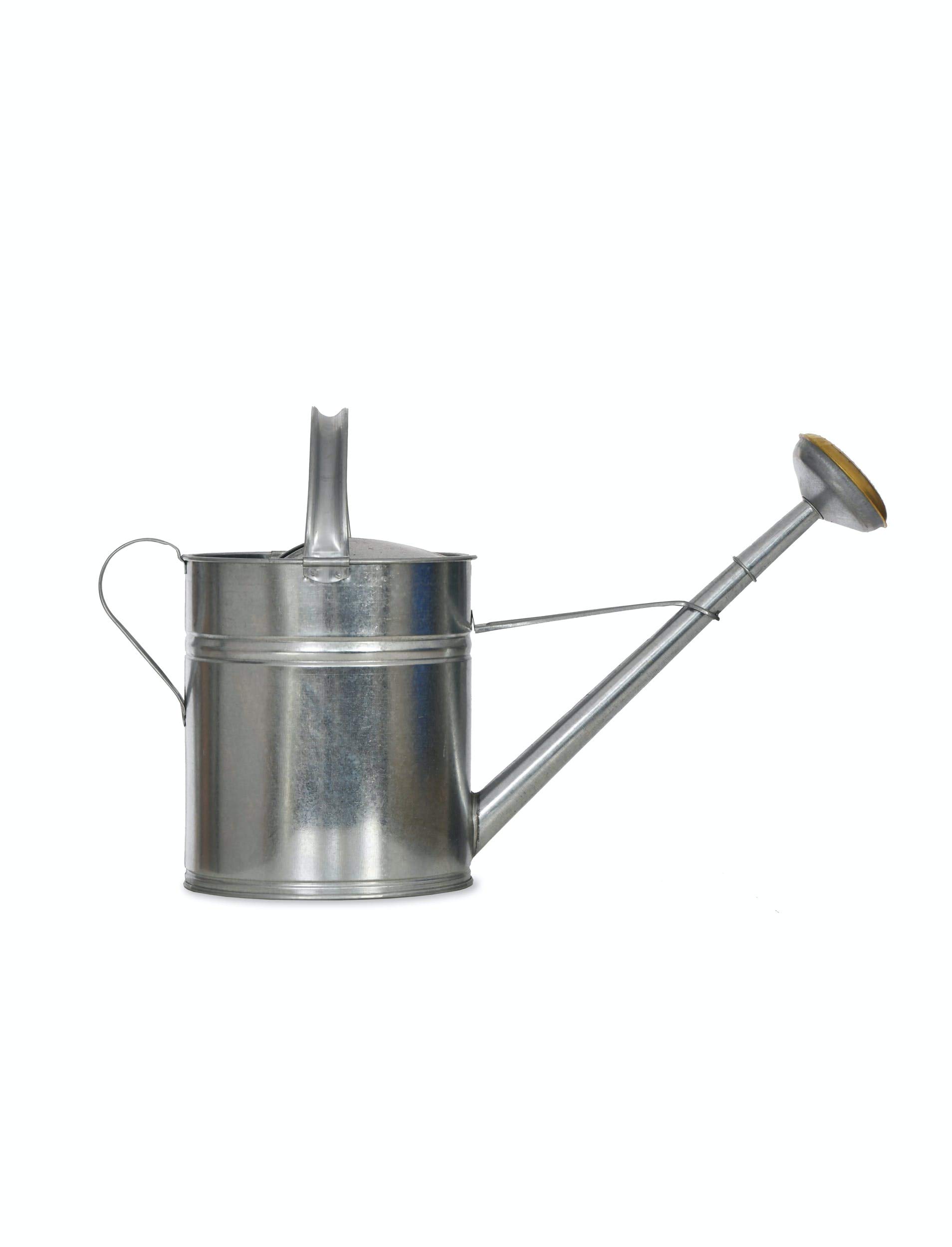CKB LTD Gießkanne für den Außenbereich, Metall, verzinkter Stahl mit Messingrose, für große kleine Gärten, Blumen und Pflanzen, robust, rostfrei, 10 l