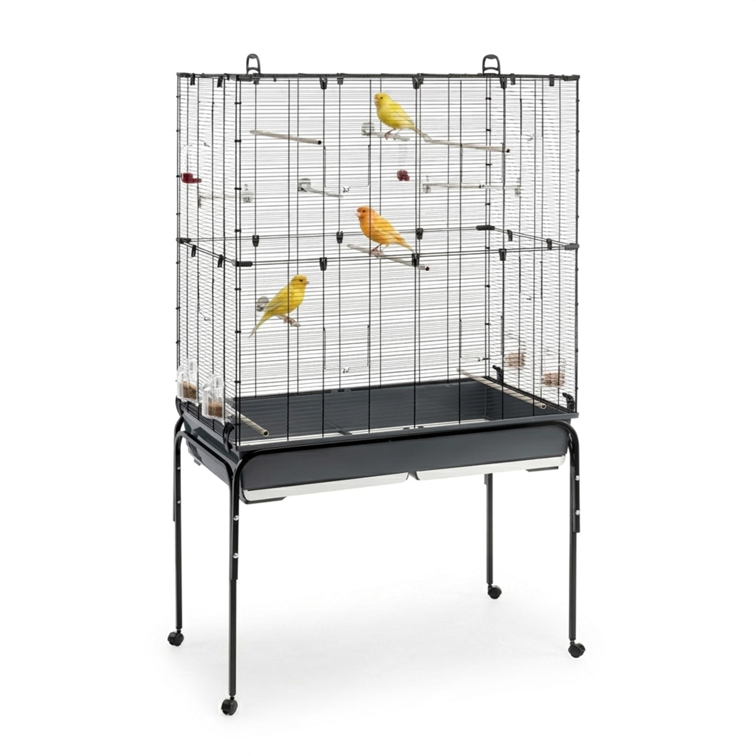 Ferplast Vogelkäfig Vogelvoliere Wellensittich Käfig Exotenkäfig, inkl. Stand mit Rädern, Vogel-Futternapf, Vogel-Sitzstangen, Schwarz, 100 x 53 x h172 cm