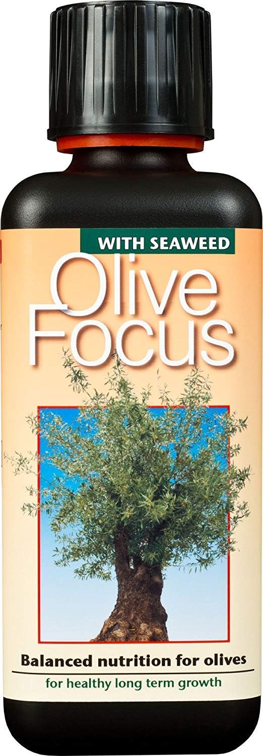 Olive Focus Liquid Fertiliser with Seaweed Concentrated 300ml – Feed for Olive Trees in Pots, Conservatories & Greenhouses – Promotes Long-Term Fertility, Root Health, and Fruit Development
