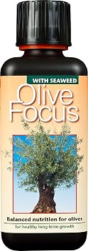 Olive Focus Liquid Fertiliser with Seaweed Concentrated 300ml   Feed for Olive Trees in Pots, Conservatories & Greenhouses   Promotes Long-Term Fertility, Root Health, and Fruit Development