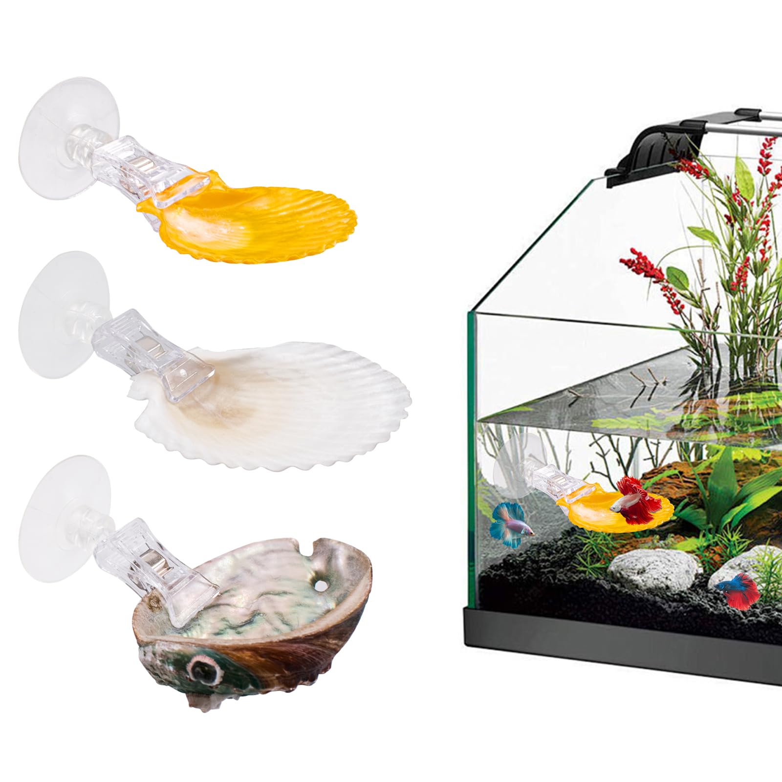 Photo 1 of 3 PCS Natural Shell Betta Fish Resting Spot, Betta Hammock Small Shell Bed with Suction Cups, Natural Habitat Breeding Spawning Ground for Betta, Shrimp, Aquarium Accessories Decorations