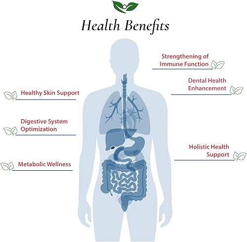 Miniatura 4 de Foods For Gut Lactobacillus Brevis Probiotic Powder 200 mil millones de ufc  Fabricado en Estados Unidos  Sin aditivos  Apoyo digestivo e