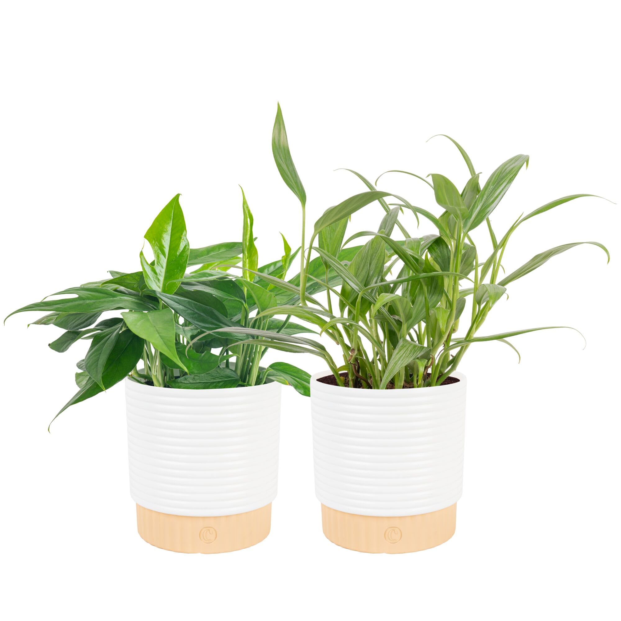 product_img5