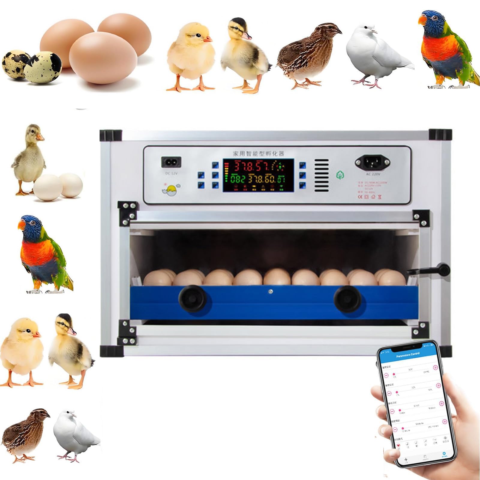 Incubateur automatique pour œufs de poules et oies pour éviter les pertes de couvée