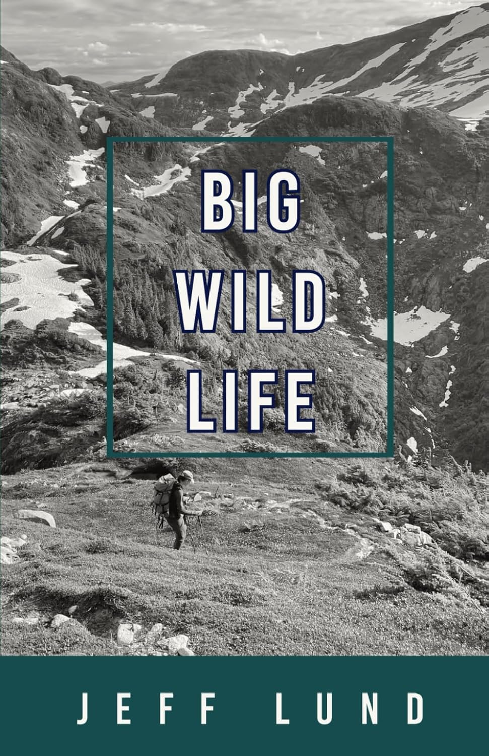 Big Wild Life      Paperback – May 9, 2025