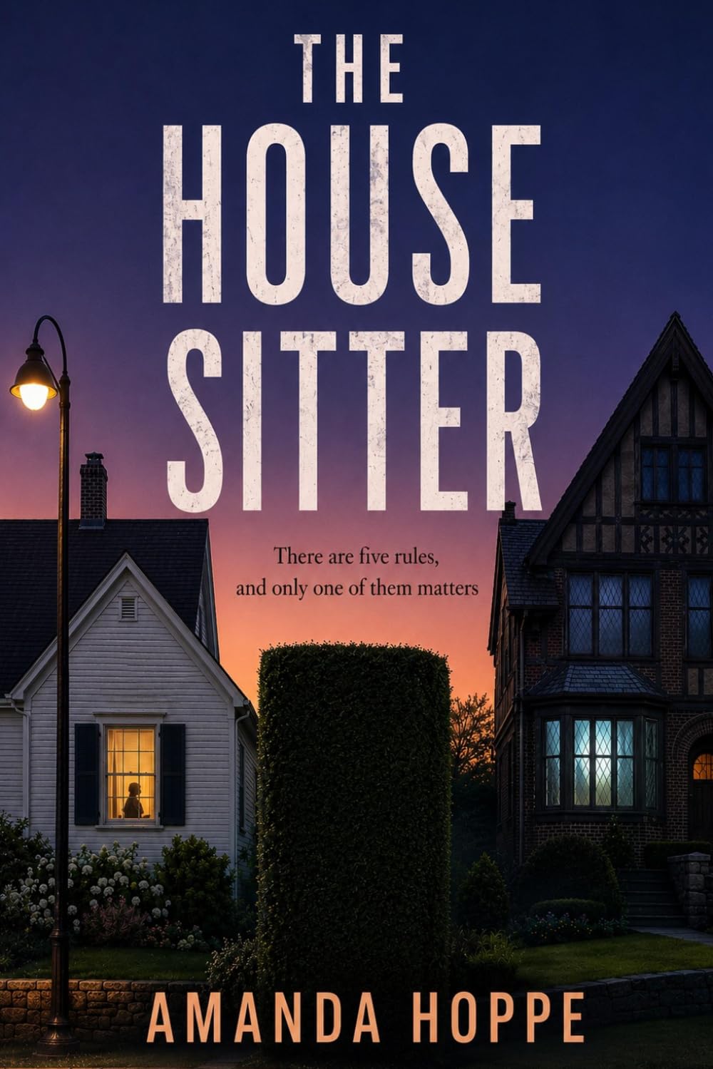 The House Sitter (The Five Rules)
