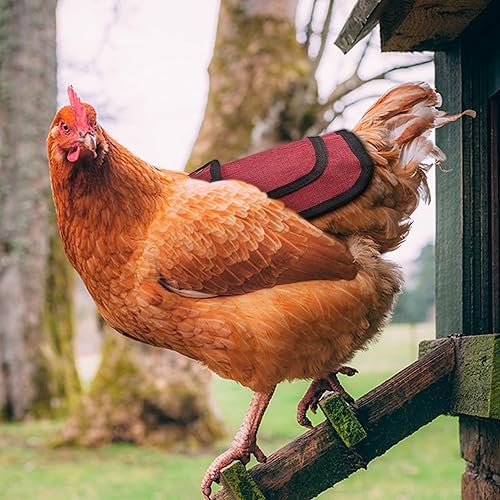 Miniatura 6 de Sillín de pollo prémium de 2 piezas con correa ajustable, protector de plumas para espalda y lados, delantal de gallina al aire libre
