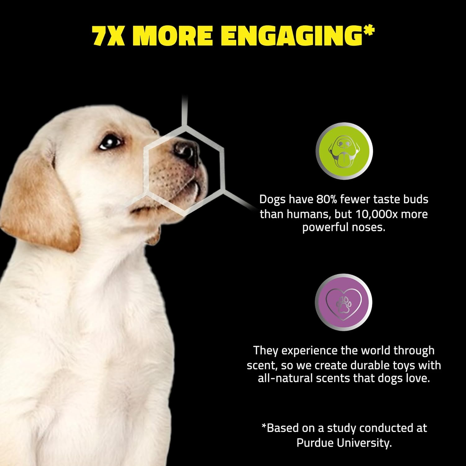 Playology 子犬のおもちゃ 感覚発達 知覚カタツムリ - ぬいぐるみ クリンクル 噛む 犬用おもちゃ 子犬用 8~16週間