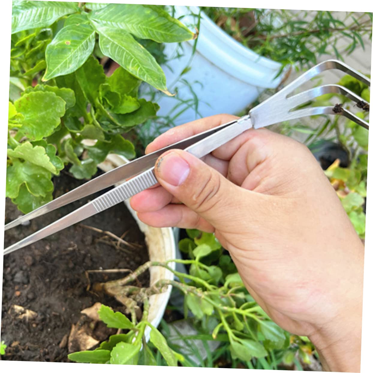 UPKOCH 3 Set Strumento Per Bonsai Concavo Spatola Strumento Pinzette Per Bonsai Pinzetta Albero Bonsai Pinzette Per Terrario Rastrello Per Bonsai Acciaio Inossidabile Argento 2 Pezzi*3
