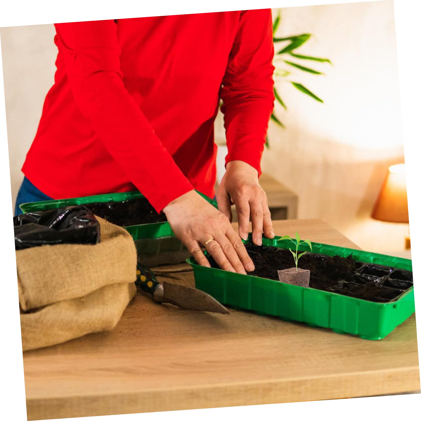BESPORTBLE 200pièces Cubes De Culture Hydroponique Blocs De Démarrage pour Accessoires De Jardinage Idéals pour Plantes sans Sol
