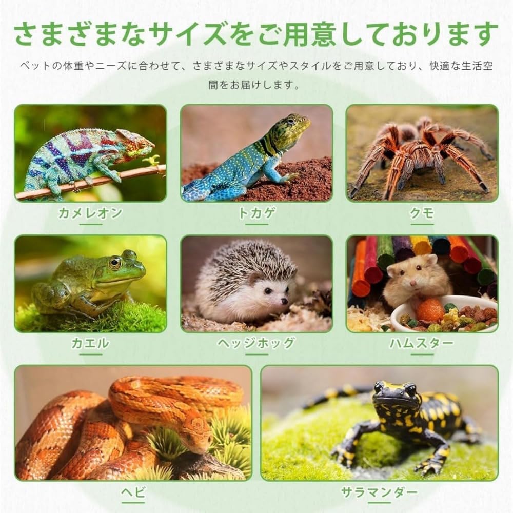 Amazon | 爬虫類 ケージ 80x40x40cm 60x40x40cm木製飼育ケージトカゲ