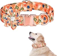Vista 1 de TDTOK Collar de Perro para Niña para Perros Pequeños, Medianos y Grandes, Lindo Collar de Perro con Hebilla de Metal de Seguridad con Flor