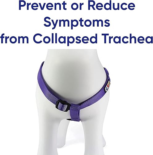 Miniatura 4 de Pawtitas Paquete económico  Arnés para perro pequeño + collar para perro pequeño + correa para perro extra pequeñapequeña de 6 pies, juego morado