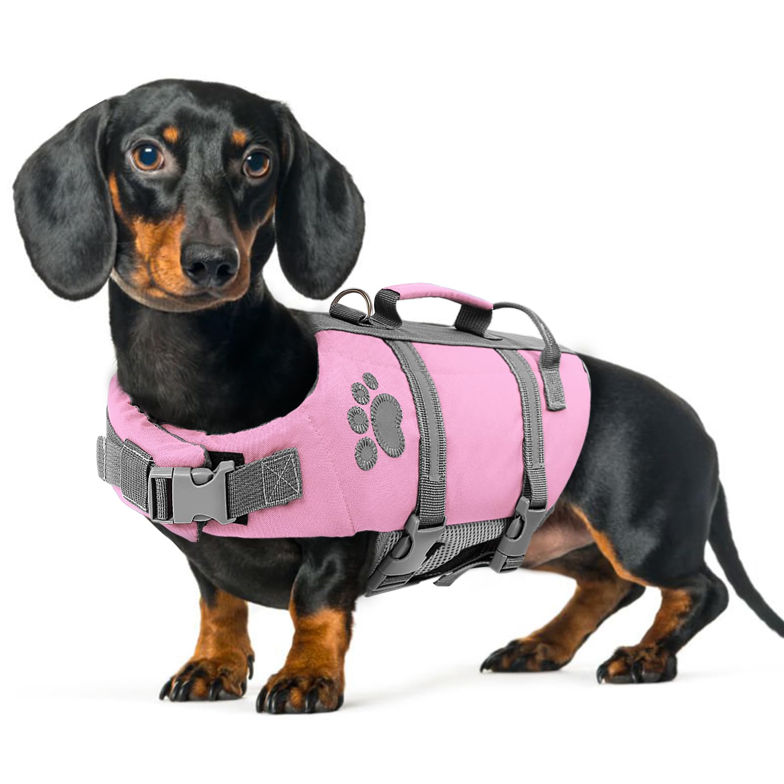 Queenmore Salvagente Cane Taglia Piccola, Leggero, Regolabile, Riflettente, Salvagente Per Cani Piccoli, Nuotare, Kayak, Paddleboarding, Cani Accessori Piscina, Rosa, S